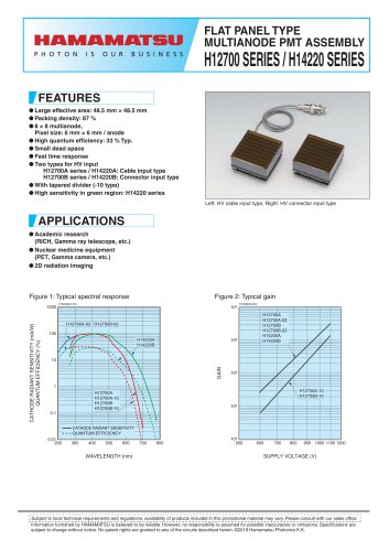 FLAT PANEL TYPE