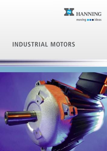 Industrial Motors