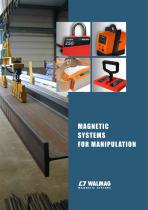 Magnetic Systems for Manipulation 2014