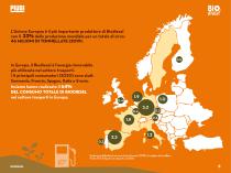 BROCHURE_BIODIESEL_IT - 5