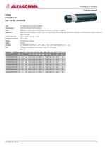 hydraulic hoses - 13