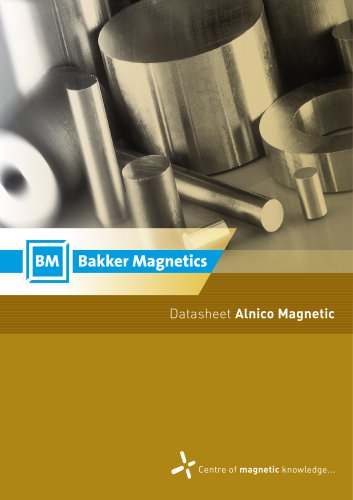 Alnico Magnetic