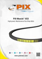 PIX-Muscle-XS3 Belts