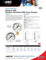 Model P-590 Weather Resistant ABS Case Gauges