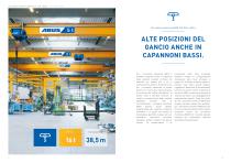 Carriponte-3
