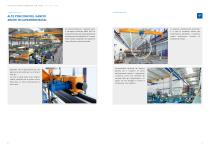 Carriponte-5
