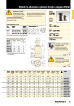 RARH-Series Hollow Plunger Cylinders - 2