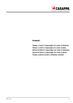 Products Presentation - Italian [DOC 10 R I] - 5