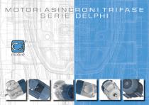 MOTORI ASINCR O N I T R I FA S E SERIE DELPHI