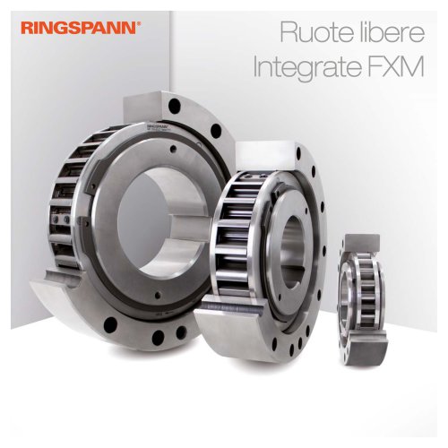 Flyer Ruote libere integrate FXM
