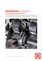 Riduttori industriali e Motoriduttori