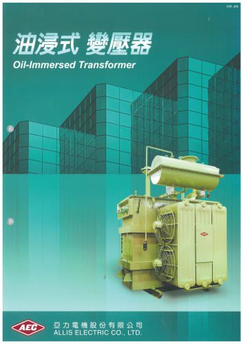 Oil Immersed Transformer