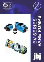 BV Series  VANE PUMPS