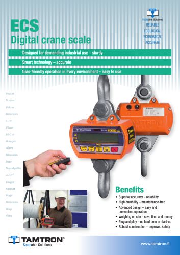 ECS crane scale