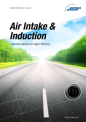 Air Intake & Induction