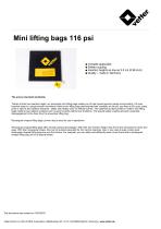 Mini lifting bags 116 psi