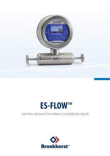 ES-FLOW Ultrasonic Flow Meter for Liquids