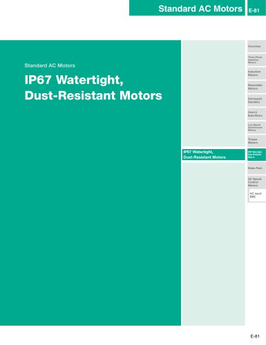 FPW Series IP67 Watertight, Dust-Resistant Gear Motors