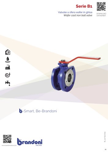 SERIES B1_2024