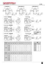Riduttori Ghisa CH-G - 49