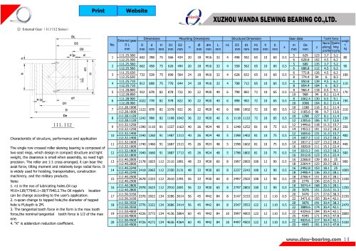 111 & 112 series slewing ring