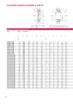 Cuscinetti assiali orientabili a rulli E1 Maggiore economicità e sicurezza d?esercizio con X-life - 14