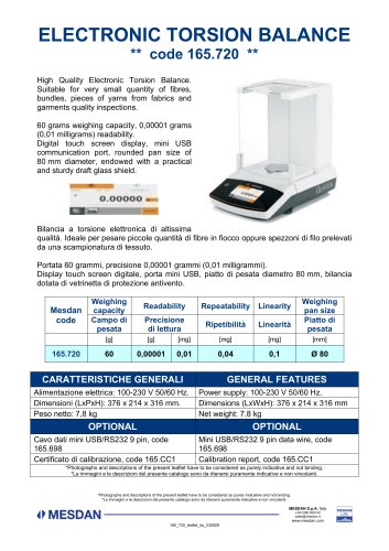 ELECTRONIC TORSION BALANCE
