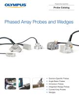 Phased Array Probes and Wedges