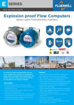 E-Series - Explosion proof Indicators