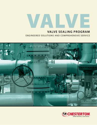 Valve Sealing Program