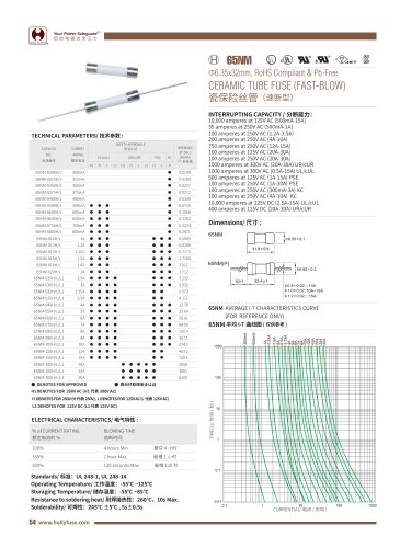 Hollyland Ceramic Tube Microfuse 65NM Series