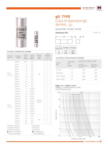 Hollyland Class gG Type Fuses HCgG Series