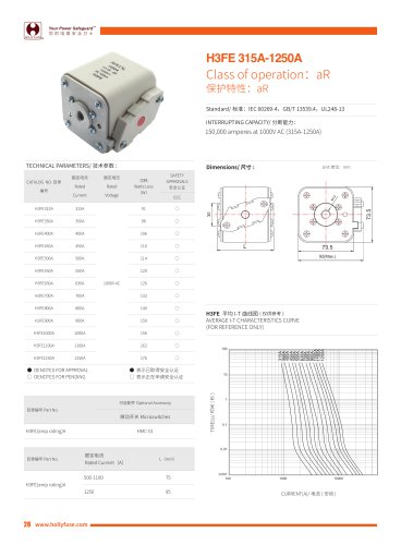 Hollyland Energy Storage Fuses H3FE series