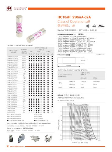 Hollyland HC10aR 10x38mm Cylinder Fuses