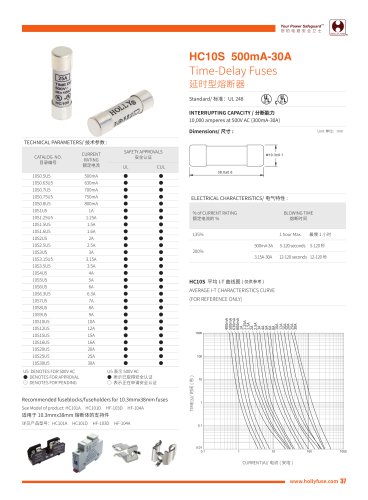 Hollyland HC10S 10X38mm Cylinder Fuses