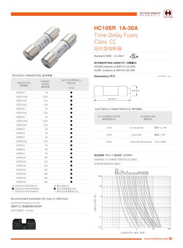 Hollyland HC10SR 10X38mm Cylinder Class CC Fuses