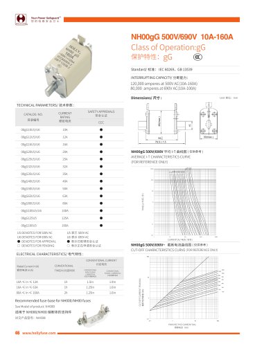 Hollyland NH00gG Energy Storage Fuses