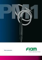 Penna pneumatica - 1