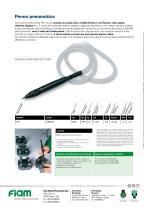 Penna pneumatica - 2