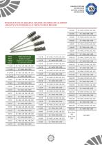 CATALOGO SPAZZOLE E DISCHI ABRASIVI - 10