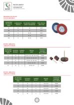 CATALOGO SPAZZOLE E DISCHI ABRASIVI - 15