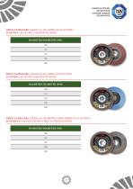 CATALOGO SPAZZOLE E DISCHI ABRASIVI - 2