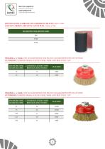CATALOGO SPAZZOLE E DISCHI ABRASIVI - 3
