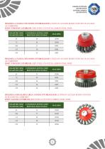 CATALOGO SPAZZOLE E DISCHI ABRASIVI - 6