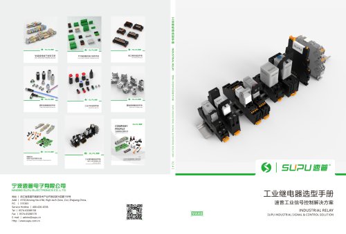 INDUSTRIAL RELAY