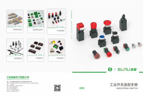 INDUSTRIAL SWITCH