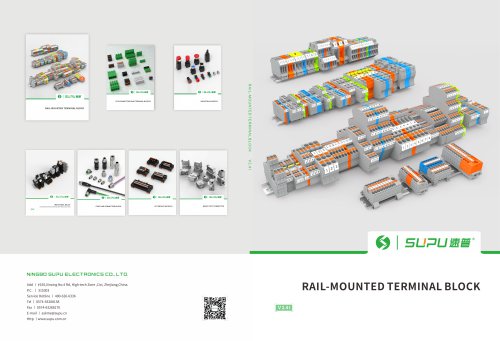 RAIL-MOUNTED TERMINAL BLOCK