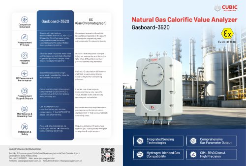 Natural Gas Calorific Value Analyzer