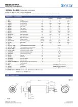 Constar 1025 Micro Coreless DC Motor 1025N5M