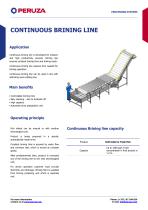 CONTINUOUS BRINING LINE